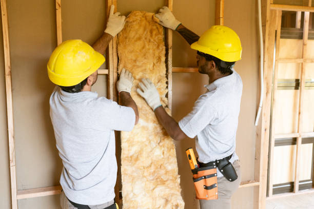 Eco-Friendly Insulation Solutions in Druid Hills, GA